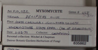 Image Associated With the Occurence
